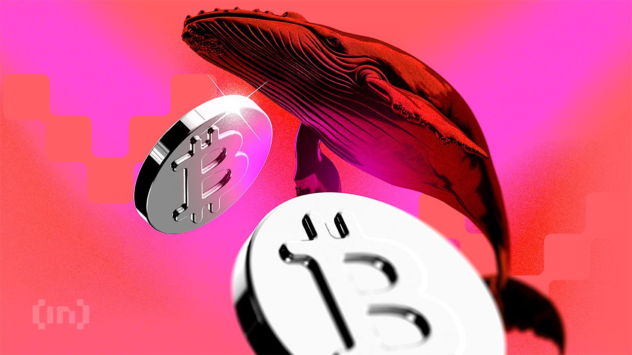 The Whale Who Called the Crash Is Betting Against Bitcoin Again